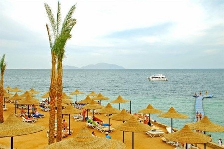 Verginia Sharm