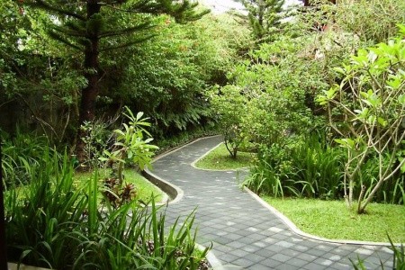 Champlung Mas (Legian) - 28