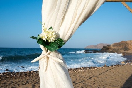 The Royal Blue - 109