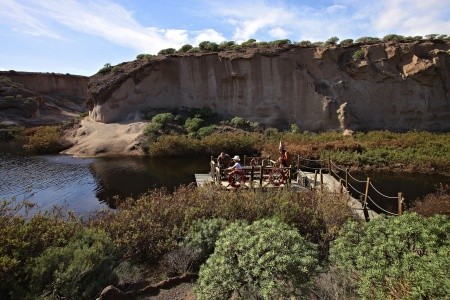 Kanárske ostrovy Tenerife Barceló Tenerife 12 dňový pobyt Polpenzia Letecky Letisko: Budapešť January 2026 (22/01/26- 2/02/26)