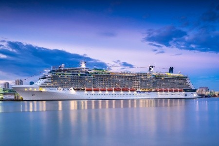 Celebrity Reflection - 36