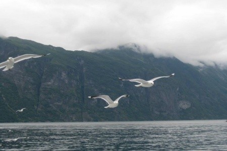 To nejlepší z Norska - 14