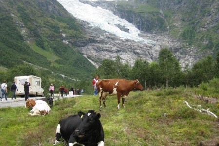 To nejlepší z Norska - 21