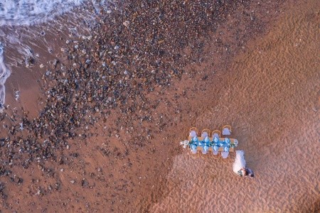 The Royal Blue - 137