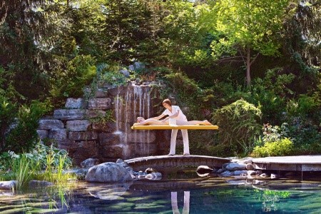 Salzburgerhof (Zell Am See) - 8