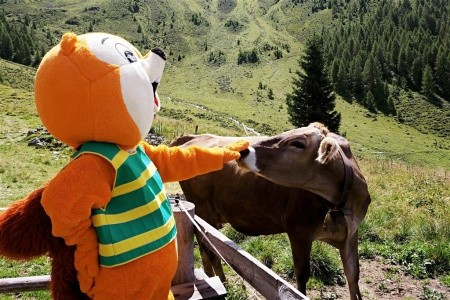 Erlebnishotel Fendels - 7