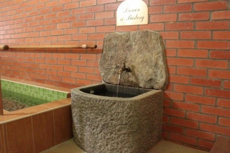 Parkhotel Kašperské Hory - 21