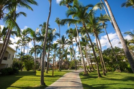 Impressive Premium Resort - 10