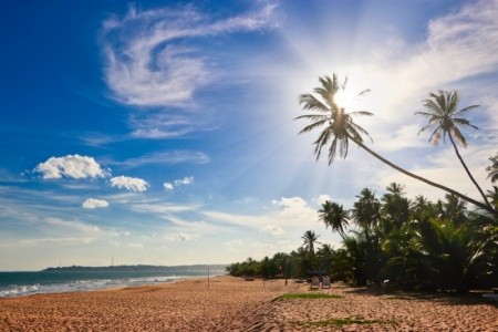 Srí Lanka  Jetwing Vil Uyana 12 dňový pobyt Bez stravy Letecky Letisko: Praha November 2025 (21/11/25- 2/12/25)