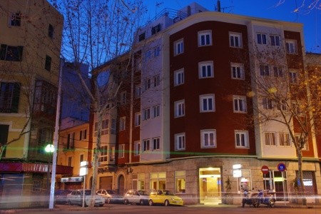 Colon Palma - 1