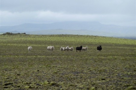 Island - velký okruh pro pokročilé - 22
