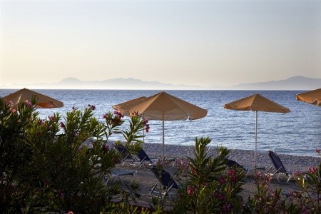 Sunshine Rhodes - 19