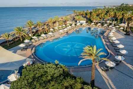 Papillon Belvil - 152