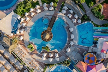 Papillon Belvil - 153