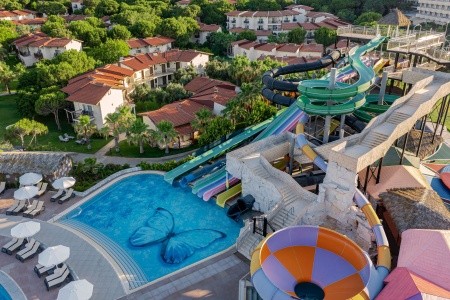 Papillon Belvil - 154