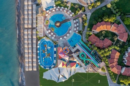 Papillon Belvil - 157