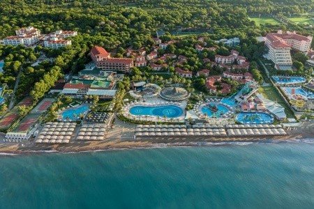 Papillon Belvil - 158