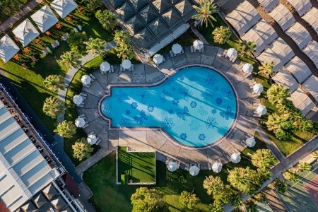 Papillon Belvil - 159