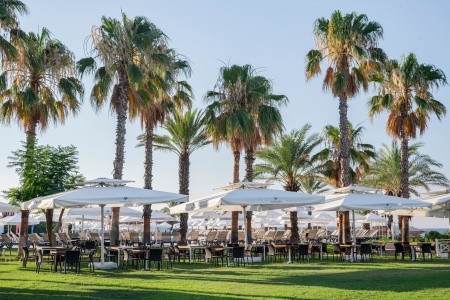 Papillon Belvil - 162