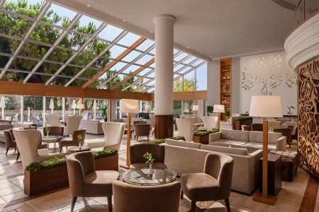 Papillon Belvil - 163