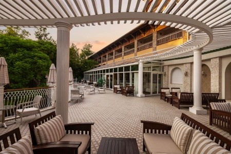 Papillon Belvil - 164