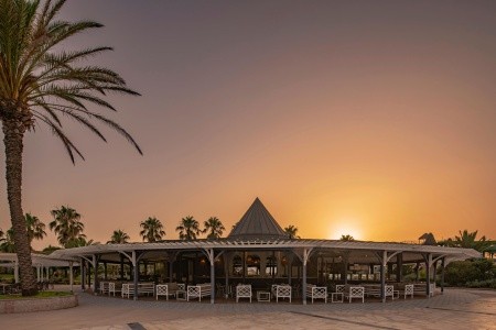 Papillon Belvil - 174