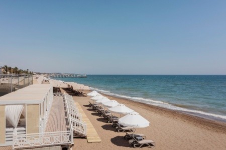 Papillon Belvil - 189