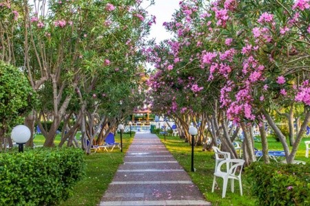 Continental Palace - 19