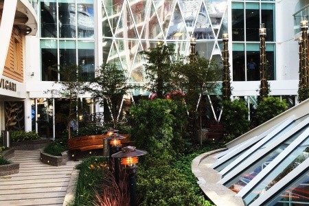 Harmony Of The Seas - 73