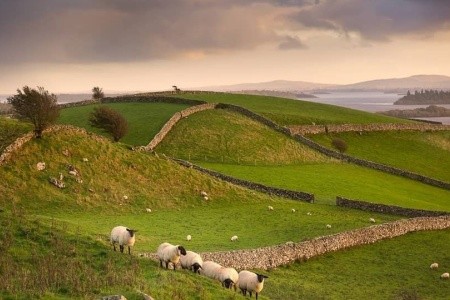 IRSKO od A do Z letecky - 7