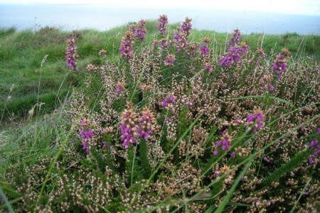 IRSKO od A do Z letecky - 9