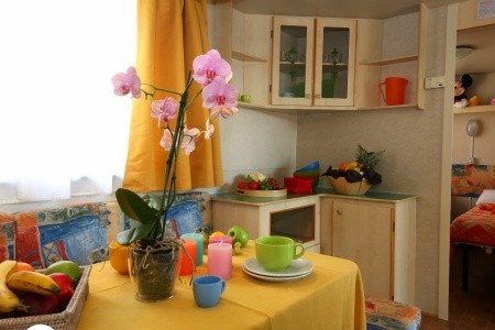 Butterfly Camping Village - 5