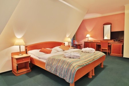 Spa Hotel Silva - 52