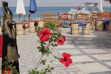 Egypt Hurghada King Tut Resort 8 dňový pobyt All Inclusive Letecky Letisko: Bratislava júl 2022 (22/07/22-29/07/22)