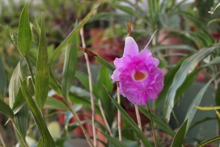 Residencial Greco - 19