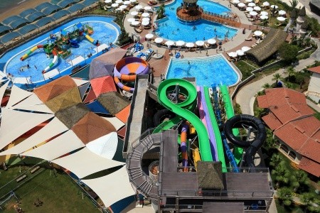 Papillon Belvil - 135