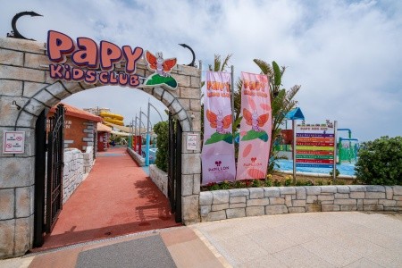 Papillon Belvil - 138