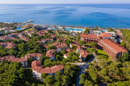 Papillon Belvil - 146