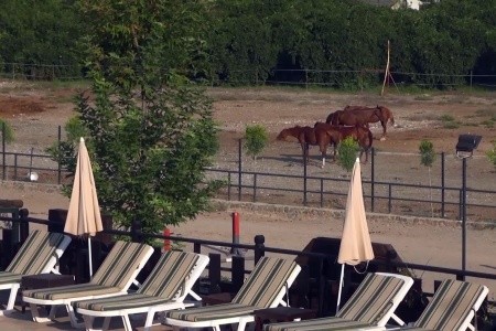 Viverde Berke Ranch - 33