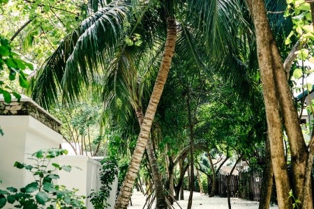 Maldivy Atol Ari Nh Maldives Kuda Rah Resort (Ex.