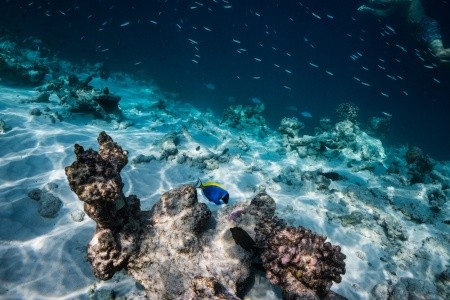 Maldivy Atol Ari Nh Maldives Kuda Rah Resort (Ex.