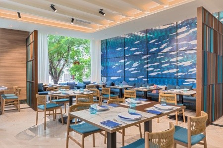 Occidental Sevilla Viapol - 27