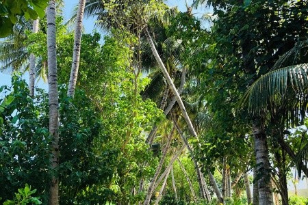 Maldivy Severný Atol Male Jumeirah Maldives Olhahali 13 dňový pobyt Plná penzia Letecky Letisko: Praha August 2026 (28/08/26- 9/09/26)