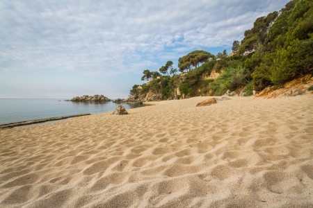 Htop Caleta Palace - 70