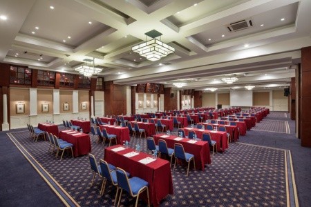 Papillon Ayscha - 63