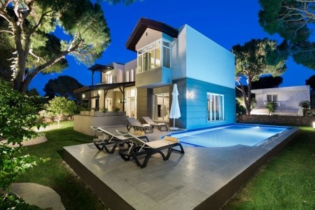 Papillon Ayscha - 81