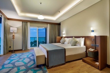 Papillon Ayscha - 85