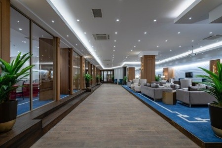 Papillon Ayscha - 93