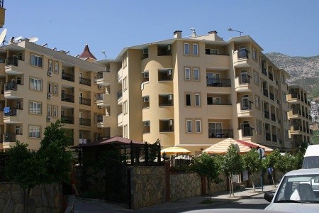 Kleopatra Royal Palm - 4