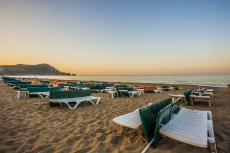 Kleopatra Royal Palm - 21